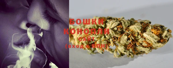шишки Анжеро-Судженск