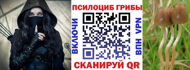 Галлюциногенные грибы Psilocybe  гидра зеркало  Шуя 