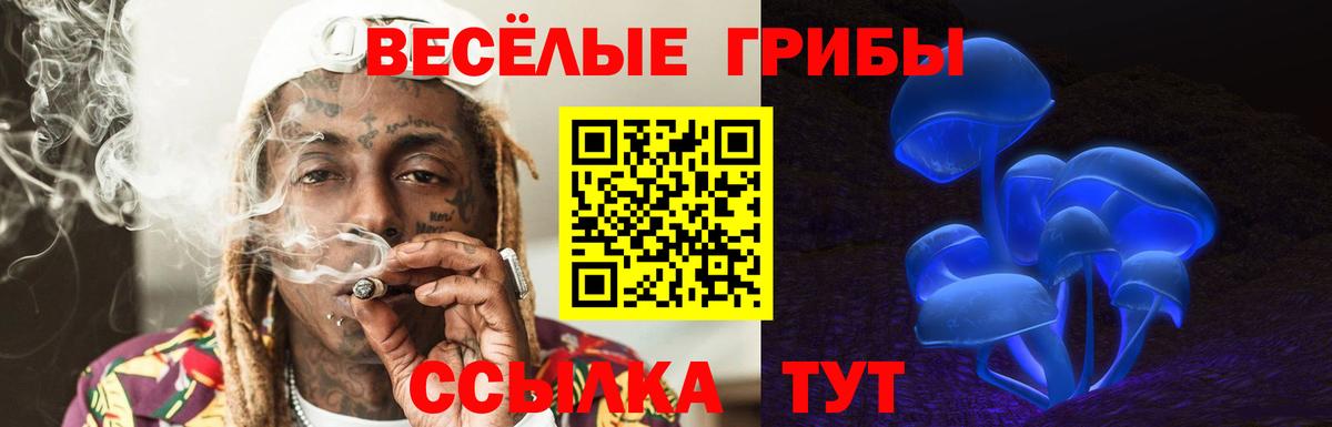 Галлюциногенные грибы GOLDEN TEACHER Шуя