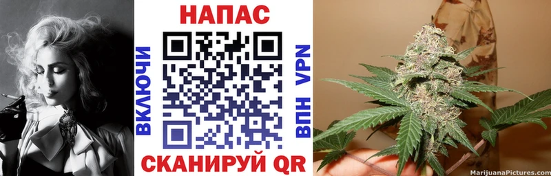 наркошоп  Шуя  кракен как зайти  Шишки марихуана гибрид 