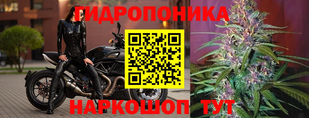 Бошки Шишки Ganja  Канабис AK-47  Шуя  Бошки Шишки планчик  Вход с VPN 